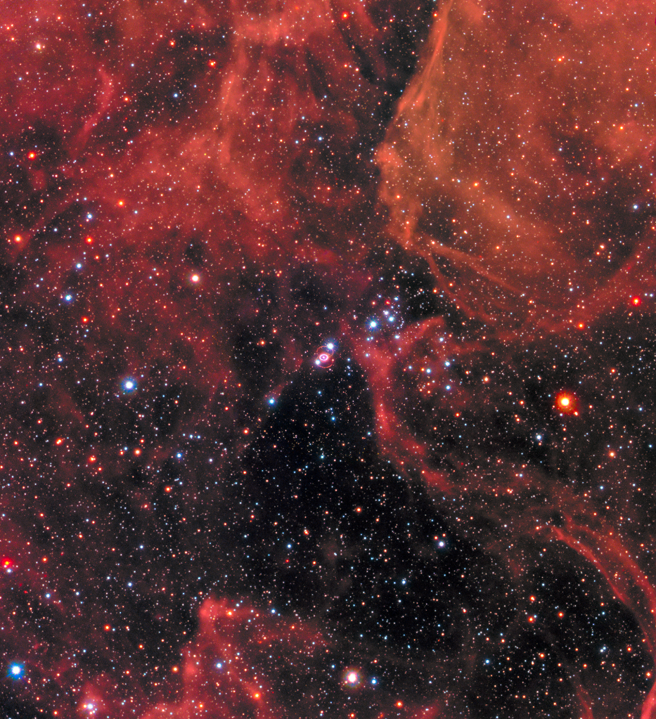 Challenging the neutrino signal anomaly