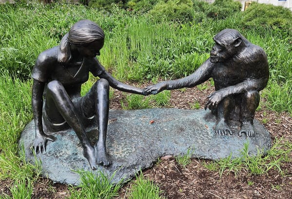 On Jane Goodall